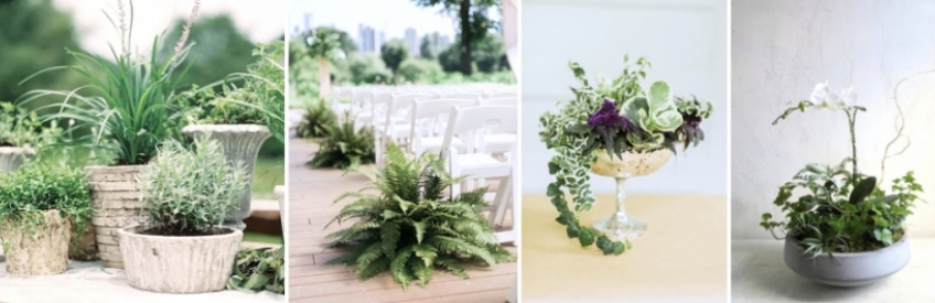 Рациональное и осознанное использование флористики на свадьбе.